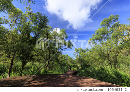 公園在一個晴天 公園在一個晴天 106463142