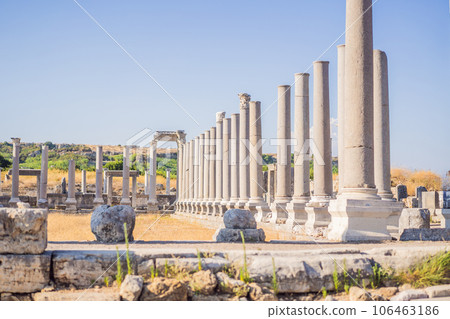 Ruins of the ancient Lycian city Perge located near the Antalya city in Turkey turkiye, GO Everywhere 106463186