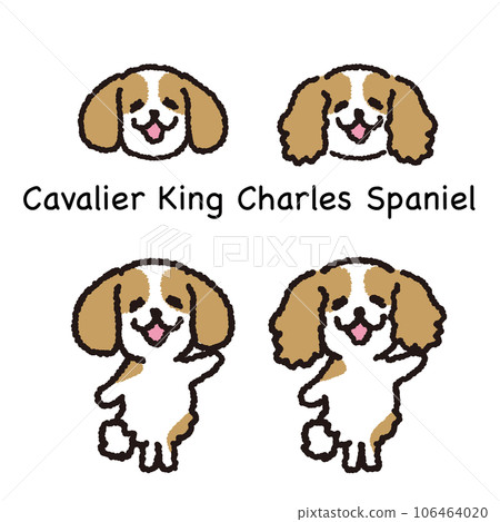 Smiling Cavalier standing on two legs face and whole body set Smiling Cavalier standing on two legs face and whole body set 106464020
