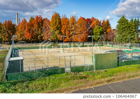 初冬的Mukosu公園網球場 岡山縣岡山市東區2 初冬的Mukosu公園網球場 岡山縣岡山市東區2 106464067