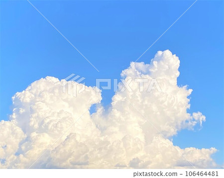 一朵類似於某物的雲,一隻狗 一朵類似於某物的雲,一隻狗 106464481