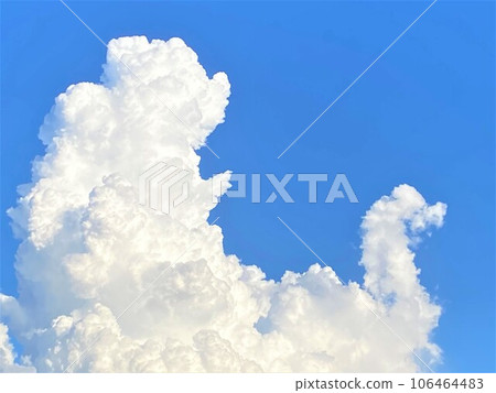 Cumulonimbus summer sky bird-like clouds 106464483