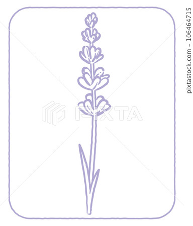 薰衣草花素描風格，設計字母。 “我”矢量材料。 106464715