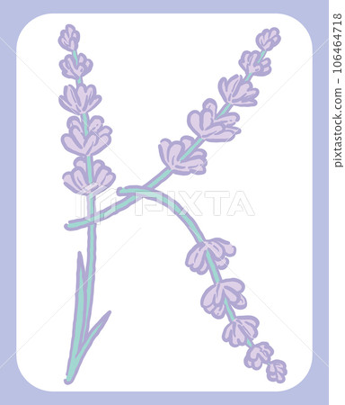 薰衣草花的素描風格，設計字母。 “K”。矢量材料。 106464718