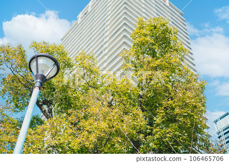 green city plant tree park around office building for carbon absorb for sustainability environmental living 106465706