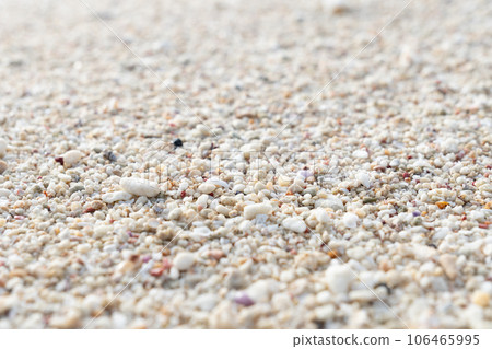 Sandy beach of the south island 106465995