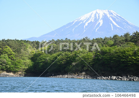 從Shoin湖看到的富士山 從Shoin湖看到的富士山 106466498