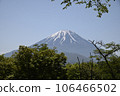 Snow-capped Mt. Fuji visible through the trees 106466502