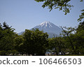 Snow-capped Mt. Fuji visible through the trees 106466503