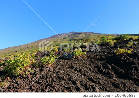 [靜岡縣富士宮市的風景] 富士山的山路 106466682