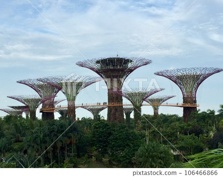 新加坡濱海灣花園 2017 新加坡濱海灣花園 2017 106466866