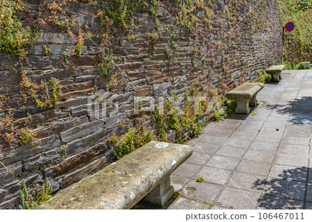World Heritage Roman Walls of Lugo (Spain) 106467011