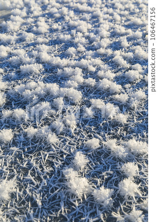 Hokkaido_Lake Nukabira's frost flower superb view 106467156