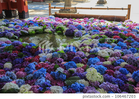 太宰府天滿宮花手水 太宰府天滿宮花手水 106467203