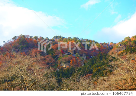 Tateishi Temple Yamadera Autumn Leaves Yellow Leaves Tateishi Temple Yamadera Autumn Leaves Yellow Leaves 106467754