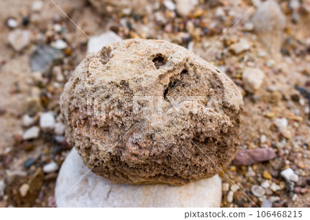 Fossilized sponge Chaetetes spherical shape replaced by chalcedony, Russia 106468215