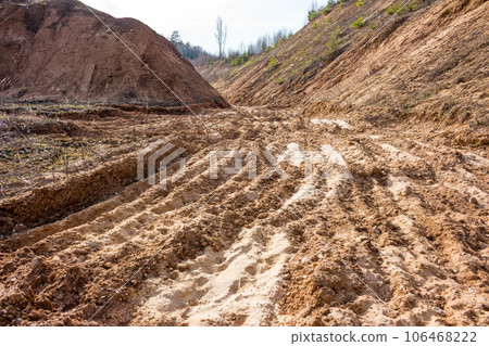 Sandy landscape at an old sand pit 106468222