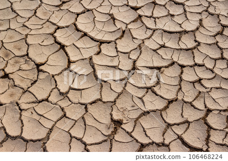 Sun-dried and cracked mud after puddle drying 106468224