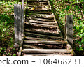 Old broken wooden stairs on a slope in the park 106468231