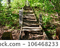 Old broken wooden stairs on a slope in the park 106468233
