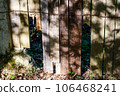 Wooden fence with broken boards. Hole in a wooden fence 106468241