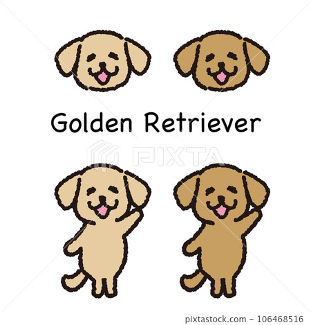 微笑的金毛獵犬站在兩條腿的臉上和全身 106468516