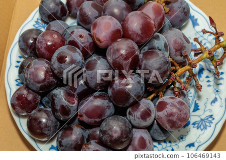 碩大的葡萄,帶著秋天的味道 碩大的葡萄,帶著秋天的味道 106469143