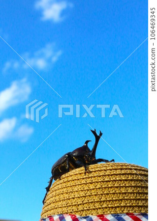 Summer scenery of a beetle climbing a straw hat under a blue sky with white clouds 106469345