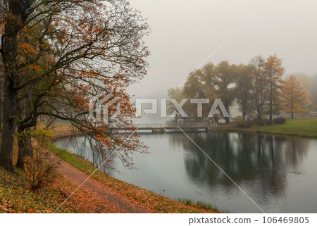 Foggy autumn city park. Bridge over a pond duing a foggy morning. Gatchina, Palace Park, Russia. 106469805
