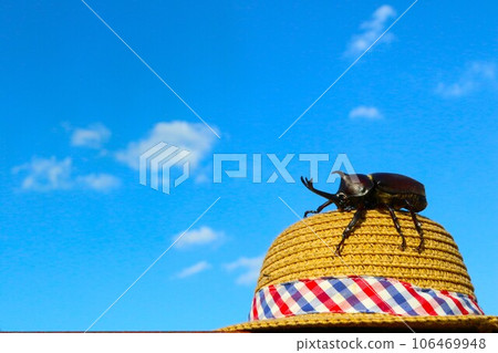 Summer scenery of a beetle climbing a straw hat in a satoyama with white clouds and a blue sky Summer scenery of a beetle climbing a straw hat in a satoyama with white clouds and a blue sky 106469948
