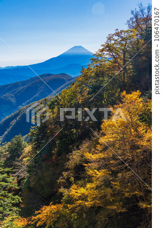 (Yamanashi Prefecture) Mt. Fuji seen from Ikenochaya forest road in autumn 106470167