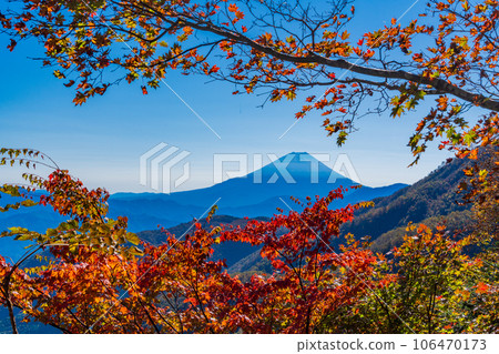 (Yamanashi Prefecture) Mt. Fuji seen from Ikenochaya forest road in autumn (Yamanashi Prefecture) Mt. Fuji seen from Ikenochaya forest road in autumn 106470173
