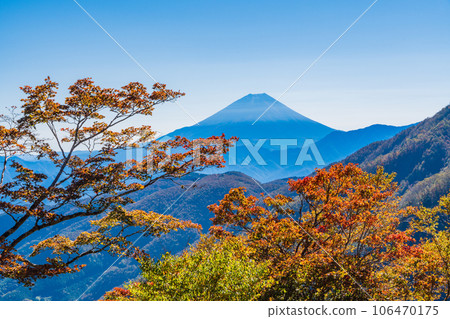 (Yamanashi Prefecture) Mt. Fuji seen from Ikenochaya forest road in autumn 106470175