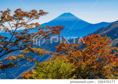 (Yamanashi Prefecture) Mt. Fuji seen from Ikenochaya forest road in autumn (Yamanashi Prefecture) Mt. Fuji seen from Ikenochaya forest road in autumn 106470177