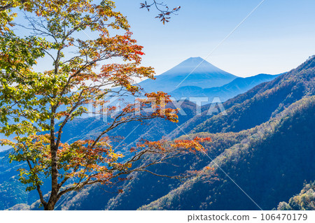 (Yamanashi Prefecture) Mt. Fuji seen from Ikenochaya forest road in autumn (Yamanashi Prefecture) Mt. Fuji seen from Ikenochaya forest road in autumn 106470179