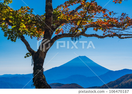 (Yamanashi Prefecture) Mt. Fuji seen from Ikenochaya forest road in autumn 106470187