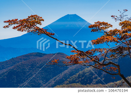 (Yamanashi Prefecture) Mt. Fuji seen from Ikenochaya forest road in autumn 106470194