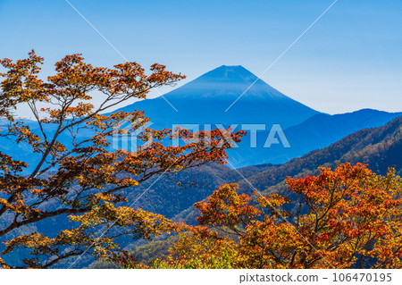(Yamanashi Prefecture) Mt. Fuji seen from Ikenochaya forest road in autumn 106470195