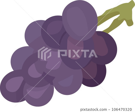 fruits bunch of purple grapes 106470320
