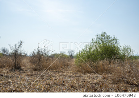 Yeongsan River bicycle path. 106470948