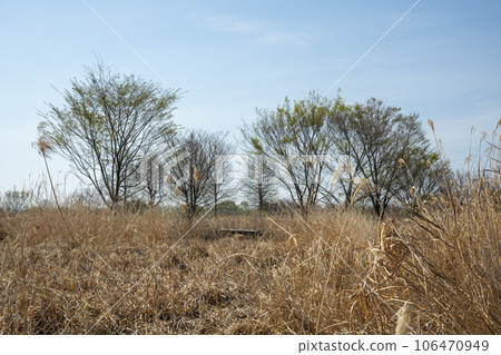 Yeongsan River bicycle path. Yeongsan River bicycle path. 106470949