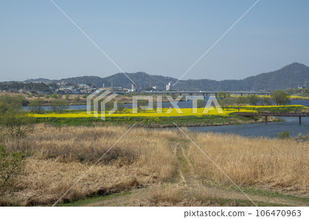 Yeongsan River bicycle path. 106470963