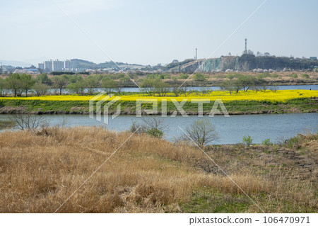 Yeongsan River bicycle path. 106470971