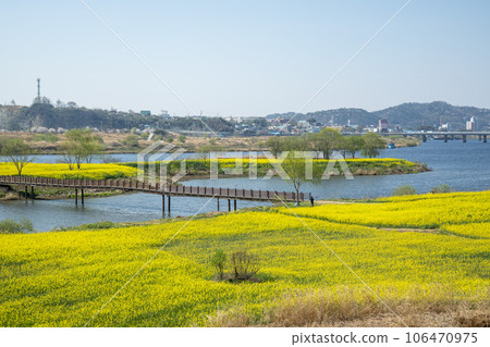 Yeongsan River bicycle path. 106470975