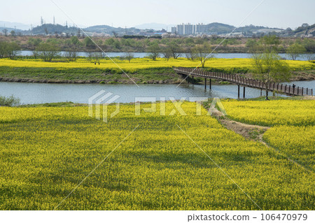 Yeongsan River bicycle path. Yeongsan River bicycle path. 106470979