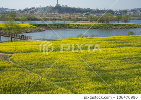 Yeongsan River bicycle path. Yeongsan River bicycle path. 106470980
