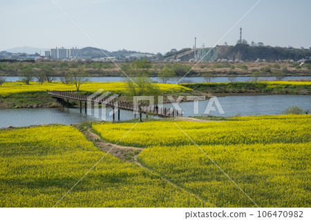 Yeongsan River bicycle path. 106470982