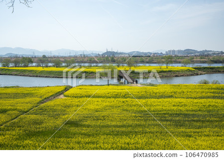 Yeongsan River bicycle path. 106470985