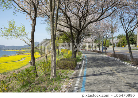 Yeongsan River bicycle path. 106470990