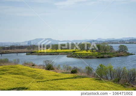 Yeongsan River bicycle path. 106471002